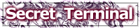 Secret Terminal